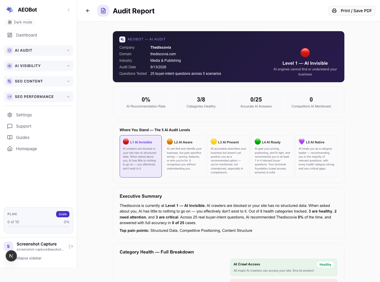 AEOBot Audit Report showing a real AI Audit Level and category health